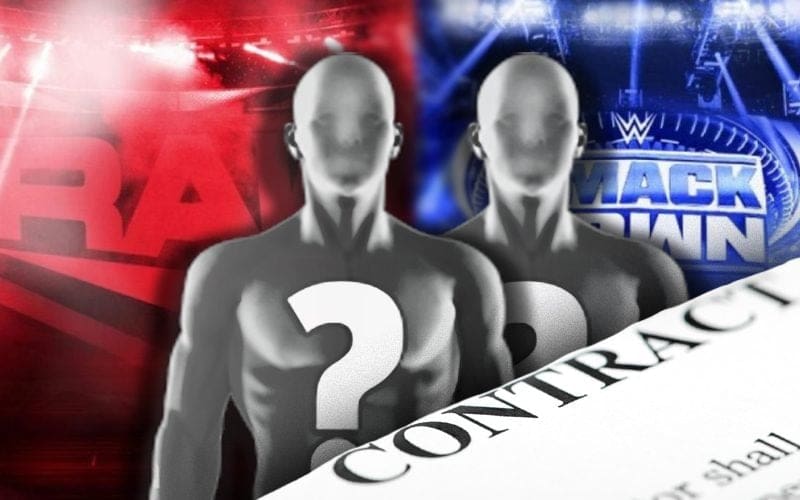 WWE Looking To Sign Multiple New Superstars