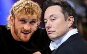 Logan Paul Trolls Elon Musk’s Strange Bedside Table Tweet Logan Paul Trolls Elon Musk's Strange Bedside Table Tweet