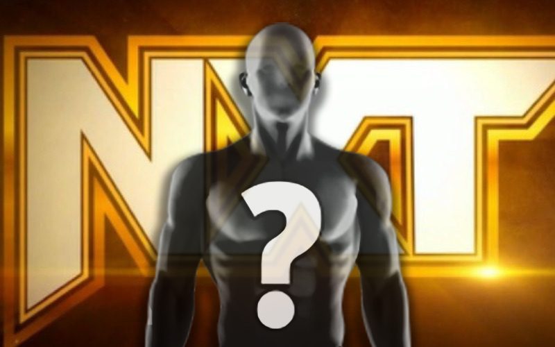 New Backstage Correspondent Debuts During WWE NXT