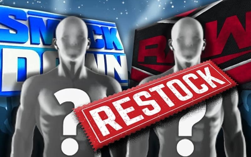WWE Restocking Their Women’s Division With Experienced Talent