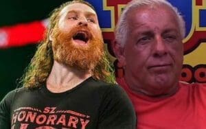 Ric Flair Had Backstage Heat With Sami Zayn Ric Flair Doesn't Like 'Comical' Sami Zayn As Part Of The Bloodline