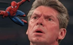 Vince McMahon Once Pitched Idea To Use Spider-Man's Web To Escape Hell In A Cell