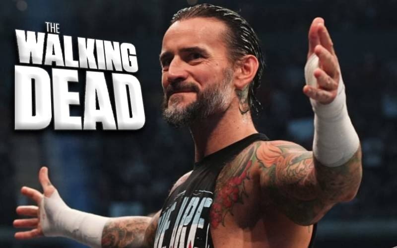 CM Punk Represented Big Time In ‘Walking Dead’ Series Finale