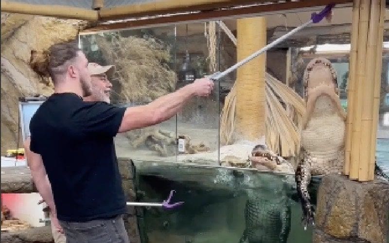 Joey Janela Feeds Alligators At The Zoo