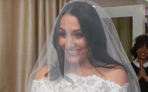 Nikki Bella Getting New E! Miniseries Nikki Bella Getting New E! Miniseries