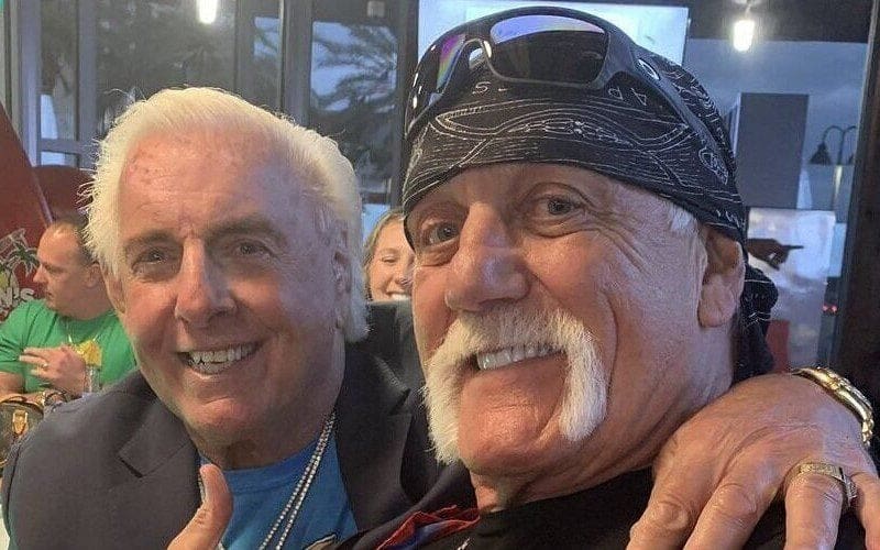 Ric Flair Says He’s Better Friends With Hulk Hogan Now