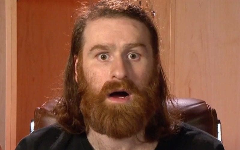WWE Never Planned On Making Sami Zayn A Top Star With Bloodline Storyline