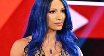 NJPW Parent Company CEO Drops Big Sasha Banks Tease