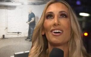 Carmella's Dad Does Her Basement Renovation