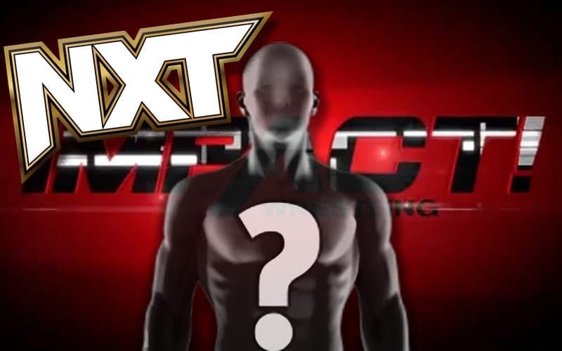 Ex WWE NXT Star Set For Impact Wrestling Debut