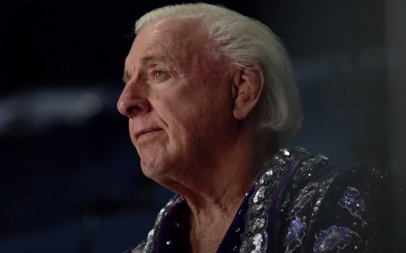 Ric Flair Calls Former Gimmick The Most Humiliating Thing In His Life