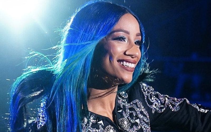 Sasha Banks Claims One Of Her ‘Biggest Dreams Came True’ Amid NJPW Debut Rumors
