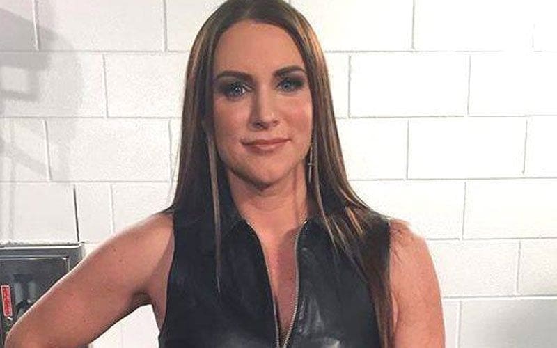 Ex WWE Star Refuses To Comment On If He Was Attracted To Stephanie McMahon