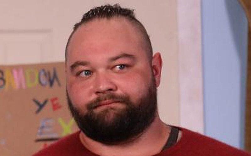Bray Wyatt’s Character Dragged For Playing With Puppets