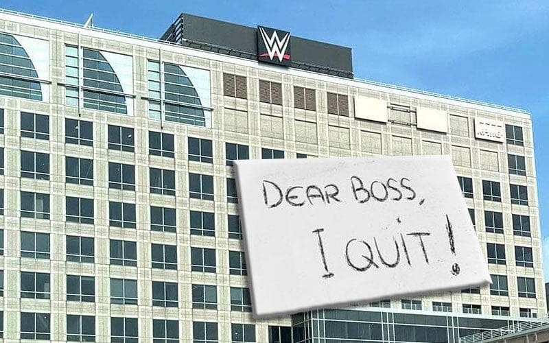 Another WWE Vice President Resigns From Company