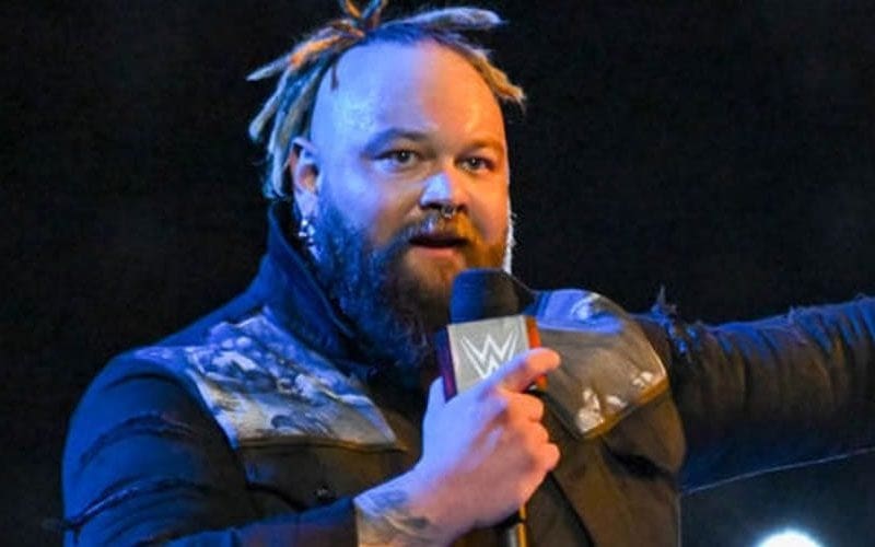Bray Wyatt Gets New Creative Writer Assigned by WWE