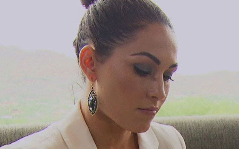 Brie Bella Admits To Backstage Heat In WWE Over Total Divas
