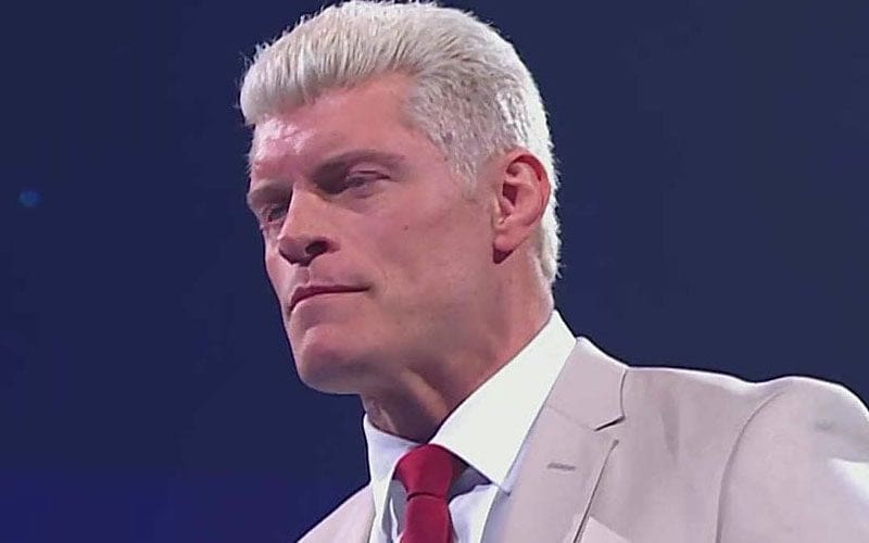 WWE Believes They Are ‘Onto Something Special’ With Cody Rhodes