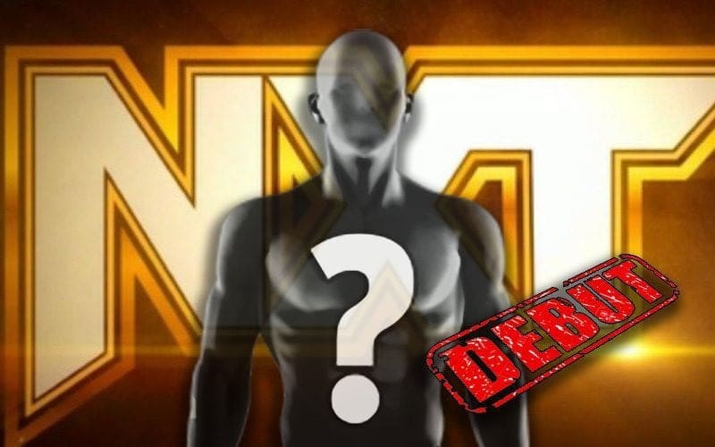 New Talent Debuts at WWE NXT Spring Breakin’