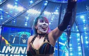 Asuka Wins WWE Women's Elimination Chamber Match