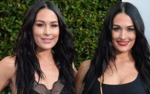 The Bella Twins Set To Star In New Reality Dating Show The Bella Twins Set To Star In New Reality Dating Show