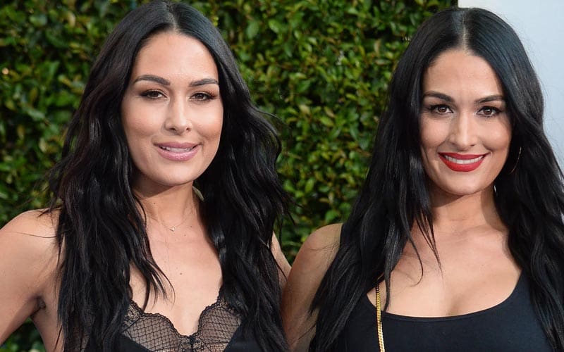 The Bella Twins Set To Star In New Reality Dating Show