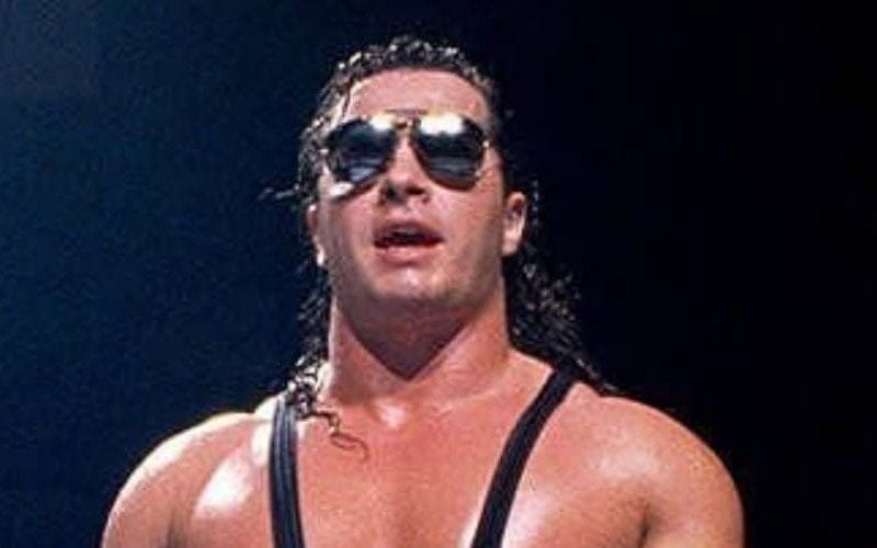 Bret Hart Refused To Lose Matches Many Times In His Pro Wrestling Career