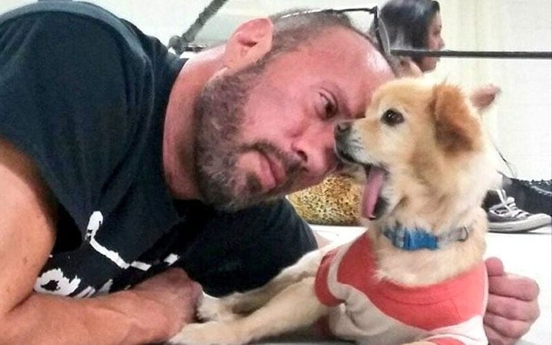 Sean Waltman’s Dog Lula Passes Away