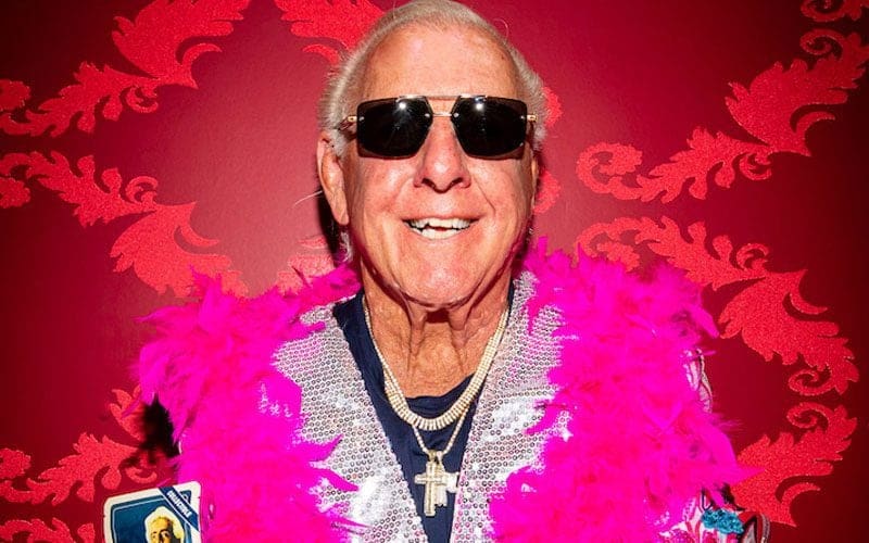 Ric Flair Going On Tour To Promote Cannabis Company