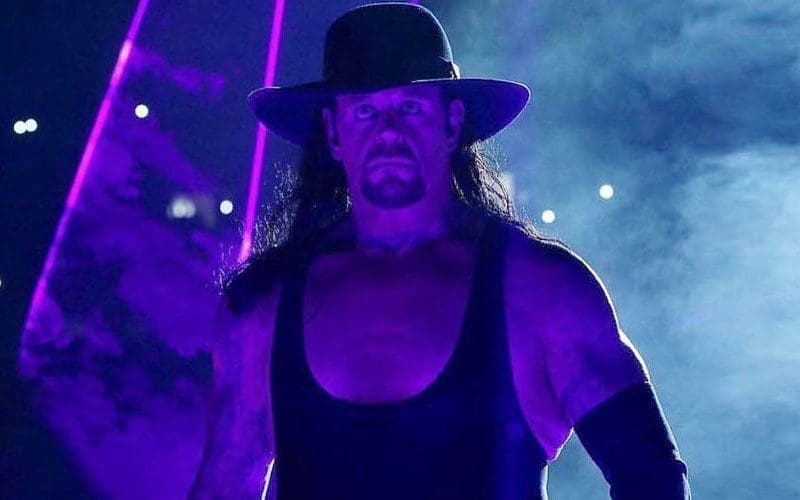 The Undertaker