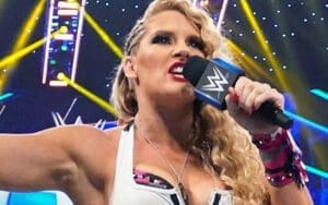 WWE's Handling of Lacey Evans Draws Criticism and Confusion