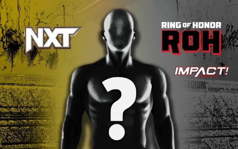 Ex-NXT Champion Says Impact Wrestling and ROH Made Offers Ahead of WWE Deal