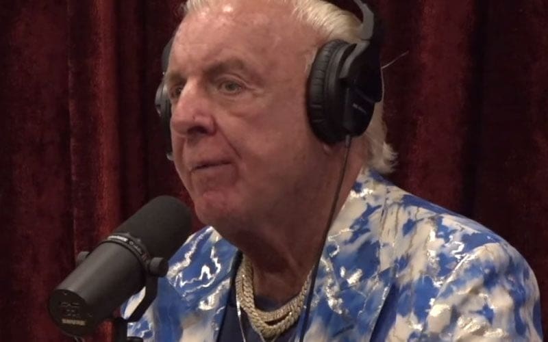Ric Flair Says Only a Select Few NXT Tryouts Have the “It Factor”