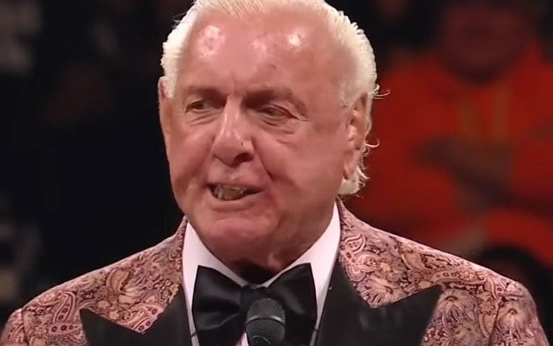 Ric Flair Went Rogue During WWE Hall of Fame Induction Ceremony