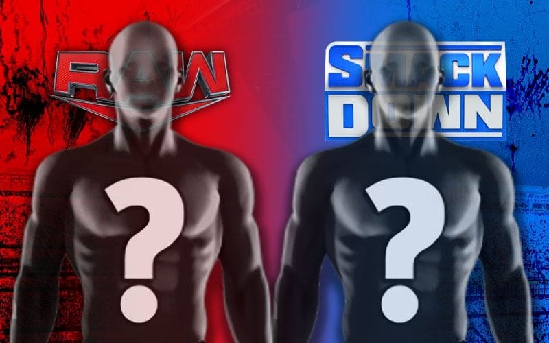 WWE Draft Spoiler Alert: Two NXT Superstars Set to Join Main Roster