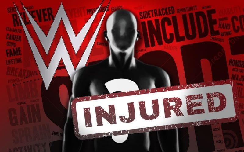 WWE Superstar Was Given Their Current Main Roster Role Due To Injury