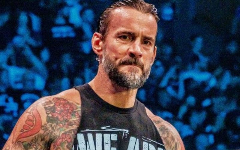 WWE Superstar Takes A Dig At CM Punk Following His Surprise Visit To RAW