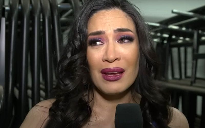 Melina Kicked Out Of WrestleCon After Physical Altercation