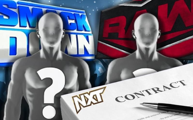 WWE Tag Team’s Plan After Contract Expires
