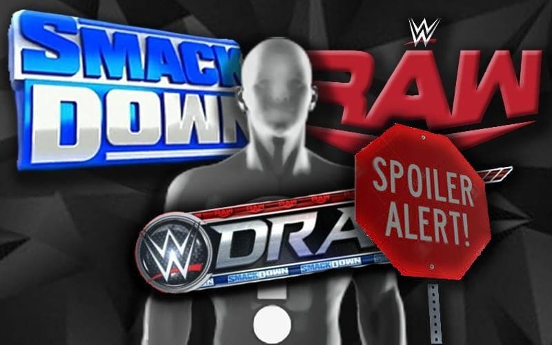 WWE SmackDown Spoilers: Tag Team Titles, Bloodline Drama, WWE Draft Update