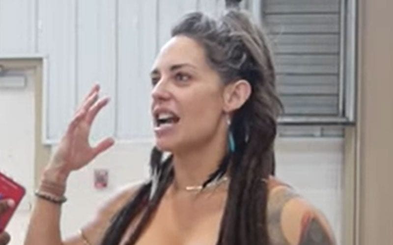 Ex-WWE Superstar Kaitlyn Doesn’t Rule Out Making In-Ring Return