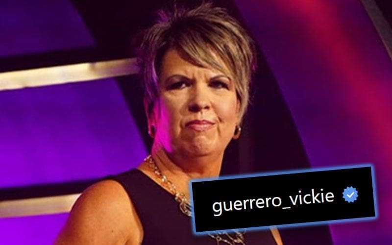 Vickie Guerrero Overhauls Instagram Account After Daughter Controversy