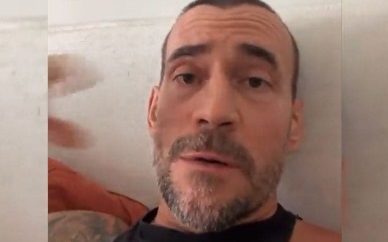 CM Punk Tells Obsessed Pro Wrestling Fans To ‘Go Touch Grass’ In New Video Drop