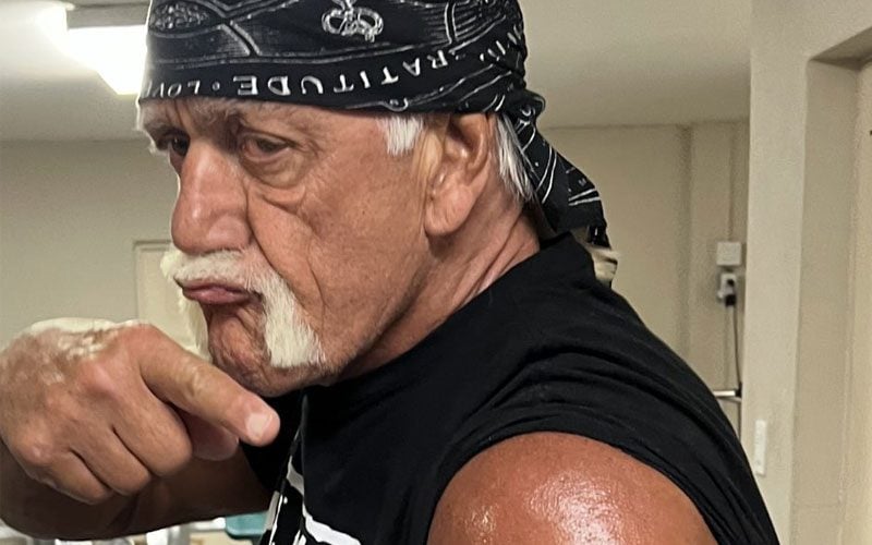Hulk Hogan's Latest Photos Show Incredible Jacked Physique at Age 69
