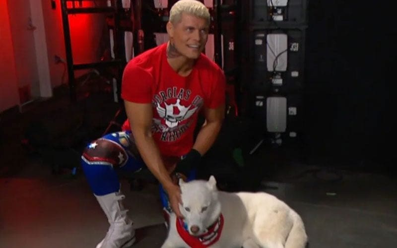 Cody Rhodes’ Reaction To Pharaoh’s First WWE RAW Appearance