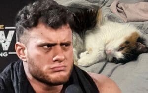 MJF Uses His Cat To Guilt-Trip Fans Over Forbidden Door Match MJF Uses His Cat To Guilt-Trip Fans Over Forbidden Door Match