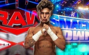 WWE Higher-Ups Are Very Interested In Hook