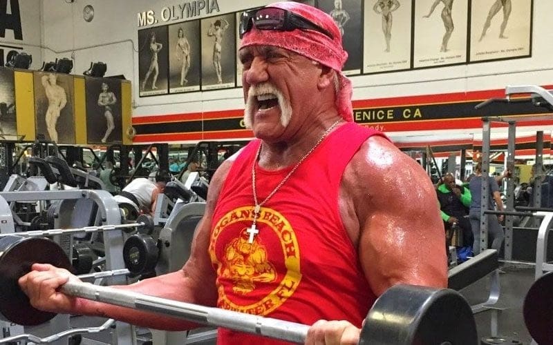 Hulk Hogan’s Training Video Ignites Speculation of In-Ring Return