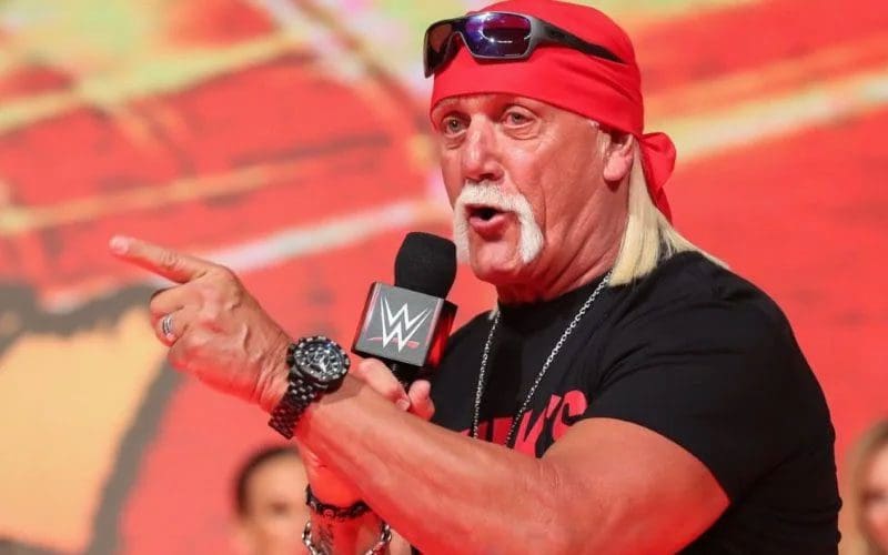 Wwe Planning Massive Hulk Hogan Celebration For 40th Anniversary Of