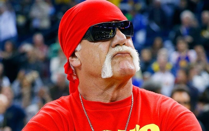 Hulk Hogan Allegedly Refused To Work With Dustin Rhodes Due To His Skinny Arms